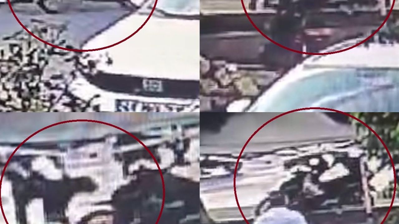 Mersin'deki köpek de'hşetinde yeni görüntüler ortaya çıktı: İki saldırıda kamerada