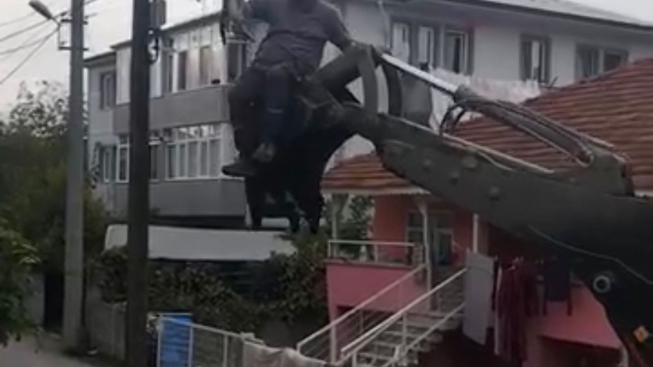 Köpeklerden kaçtı, direkte mahsur kaldı