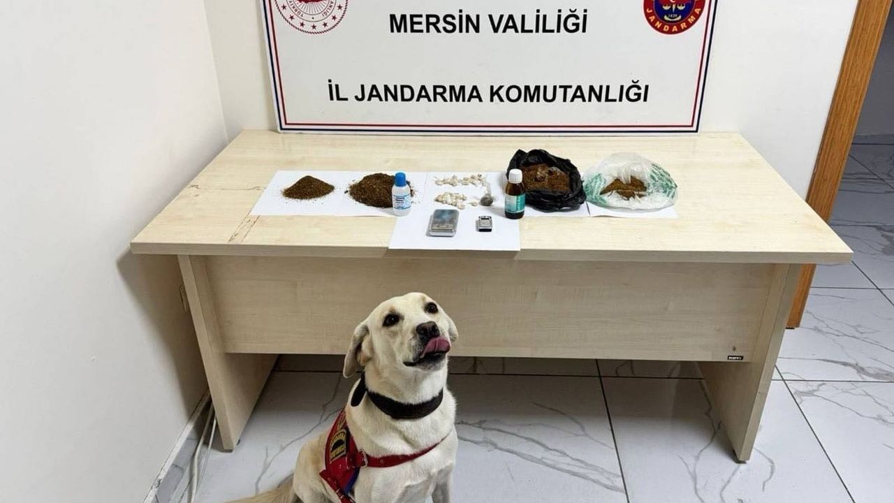 Mersin'de uy*şturucu operasyonu: 5 şüpheli tutuklandı