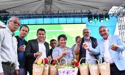 14. Gezende Erik Festivali yapıldı