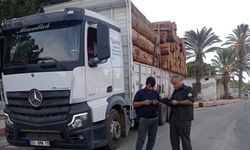 Mersin’de orman suçlarına karşı denetimler sürüyor