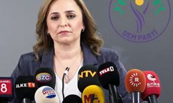 Dem Parti'den açıklama: "Öcalan hazır Devlet hazır mı?"