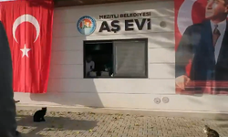 Mezitli Aşevi’nden ihtiyaç sahiplerine sıcak yemek hizmeti