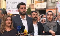 DEM Parti Mersin İl Eşbaşkanı gözaltına alındı