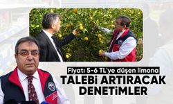 Fiyatı 5-6 TL'ye düşen limona talebi artıracak denetimler başladı