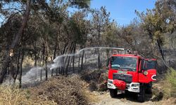 Mersin'de orman yangını: 1,5 hektar alan zarar gördü