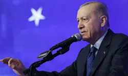 Cumhurbaşkanı Erdoğan: ''Milli içkimiz ayrandır dediğimiz için acımasızca eleştirildik”