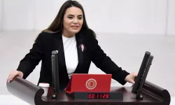 Ayyüce Türkeş’e babasının kabrinde saldırı