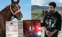 Atla markete giderken ‘alkollü araç kullanmaktan’ ceza yedi