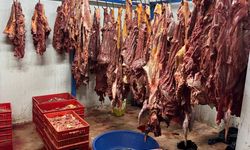 Adana'da bozuk et operasyonu: At eti, bozulmuş et... Ne ararsanız var!