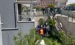 Doktorun sahiplenip öldürdüğü iddia edilen köpek sayısı 26'ya ulaştı