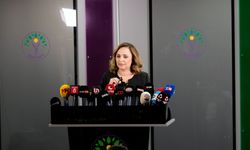 DEM Parti, Sırrı Süreyya Önder Suikast Girişimini Doğruladı