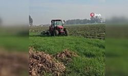 Tam 41 hektar: Ormanı tarım alanına çevirmeye çalıştılar, zamanında müdahale engel oldu
