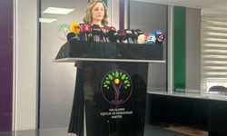 DEM Parti, Sırrı Süreyya Önder Suikast Girişimini Doğruladı