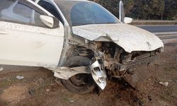 Mersin Tarsus Otoyolunda Can Pazarı
