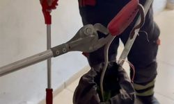 Mersin'de 2 gündür evin içinde gezen yılan paniğe neden oldu