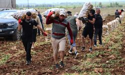 Bunlar özel işçiler: Aylık 90 ile 100 bin lira arasından kazanıyorlar