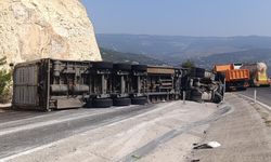 Mersin'de Angus yüklü tır devrildi, kaçan hayvanlar yakalandı