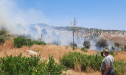Silifke'de ağaçlık alanda çıkan yangın kontrol altına alındı