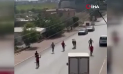 Kaçan boğa ortalığı bir birine kattı, diğeri ise denizde telef oldu