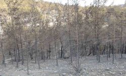 Silifke’deki orman yangını büyük ölçüde kontrol altına alındı