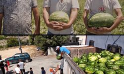 Çiftçinin çağrısına kayıtsız kalmadı, tarlada kalan karpuzu halkla buluşturdu