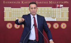 Ali Mahir Başarır'dan orman yangınlarına ilişkin açıklama