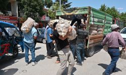 Yozgatlı çiftçinin bedava dağıttığı patates, çuvallarla kapışıldı
