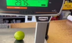 Mersin’de “lime limon” tepkisi: Bir adet limon 30 TL