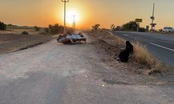 Ters dönen araçtan çıkan kadın oturup Kuran'ı Kerim okudu