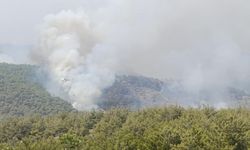 Mersin'de kaynak yaparken orman yangınına neden olan firma sahibi ile 4 kişi tutuklandı