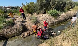 Mersin'de sulama kanalına düşen inek itfaiye ekiplerince kurtarıldı