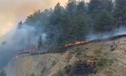Bolu’da orman yangını başladı: Havadan ve karadan müdahale sürüyor
