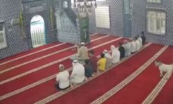 Mardin’de camiye giren oğlak güvenlik kamerasına yansıdı