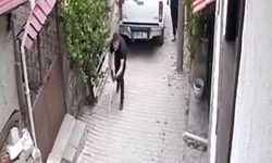 Bayılttıkları köpekleri aracın kasasına fırlattılar; o anlar kamerada