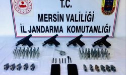 Jandarma suç örgütü liderini yakaladı