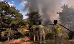 Mersin'deki orman yangını 2'nci gününde