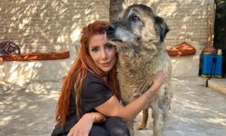 Obez köpek Duman, 6 ayda 20 kilo verdi