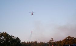 Edirne'de sabahın ilk ışıklarıyla yangına müdahale yeniden başladı