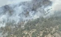 Karabük’te orman yangını
