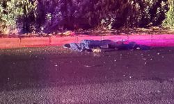 Yolun karşısına geçmek isterken araba çarptı: 1 ölü