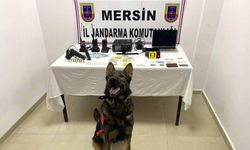 Mersin'de uy*şturucu operasyonu