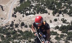 Uçurumda mahsur kalan keçi, itfaiye ekiplerince kurtarıldı