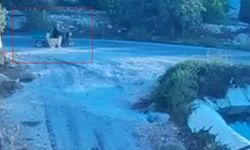 Köpek saldırınca motor devrildi