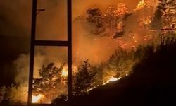 Alanya'da ormanlık alanda yangın