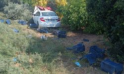 Kontrolünü kaybeden araç bahçeye daldı: 1 ölü, 3 yaralı