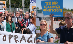 Chp Grup BaşkanVekili Gökhan Günaydın: "Zeytin ağaçlarına kıyanların ellerini kırmamız lazım!"
