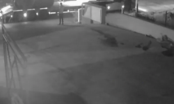 Kaporayı geri alamadıkları için dozeri kaçırdılar!