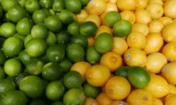 Ticaret Bakanlığı’ndan limon ve elmaya ihracat düzenlemesi