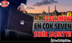 Çalışmayı en çok seven şehir İstanbul, en az seven şehir ise Adana oldu!